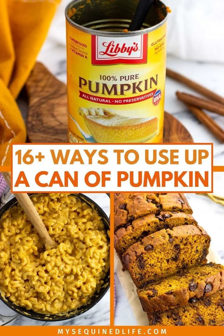 Culinary ideas for a can of pumpkin in various recipes and dishes.