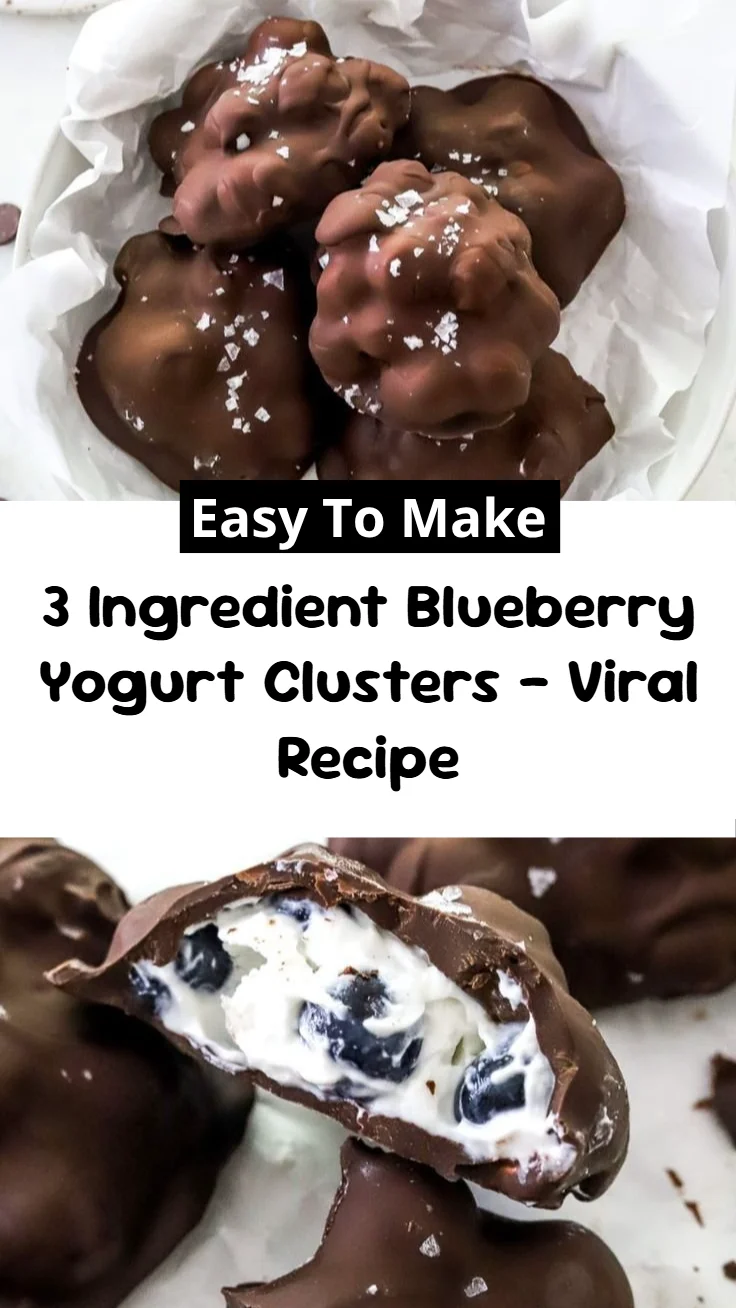 3 Ingredient Blueberry Yogurt Clusters - Viral Recipe