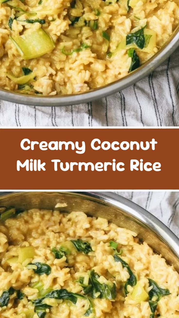 Creamy Coconut Milk Turmeric Rice