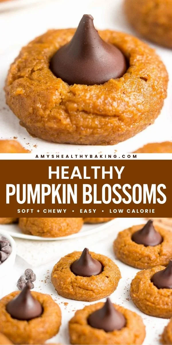 Freshly picked healthy pumpkin blossoms ready for cooking