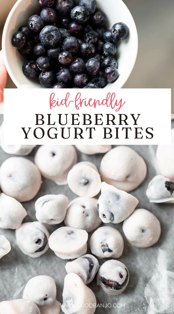 Healthy blueberry yogurt bites for a nutritious snack