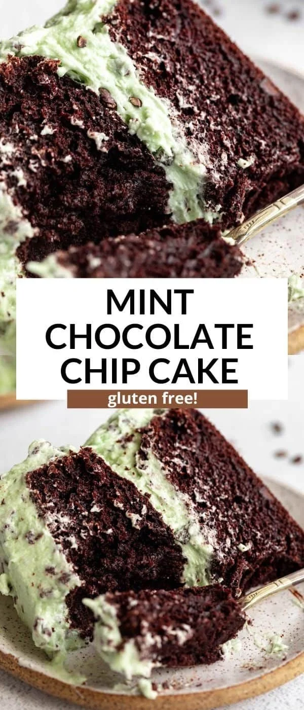 Gluten free mint chocolate chip cake with fresh mint leaves and chocolate chips