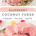 vegan raspberry coconut fudge sugar free paleo 2026 08 06 192240 488x1024 1