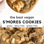 vegan smores cookies 2026 08 06 192246 487x1024 1